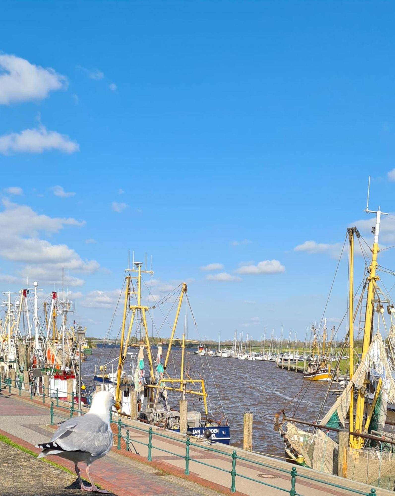Ferienhaus Nordseeglueck Im Ferienpark Berumbur Esterno foto